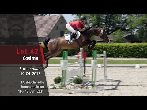 Sommer-Auktion Trainingsvideo Lot 42 Cosima Stute v. Cordynox - Lancer III
