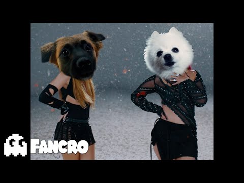 KAROL G, Shakira - TQG (Cover Perros)