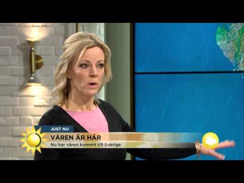 Hit har våren kommit - se tittarnas vårbilder - Nyhetsmorgon (TV4)