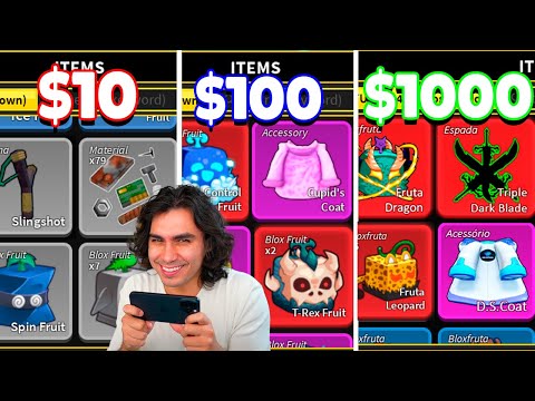 I LOGGED INTO $10, $100, and $1000 ACCOUNTS on Blox Fruits