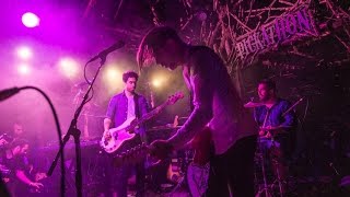Wolf Parade - Mr. Startup - Woods Stage @Pickathon 2016 S04E04