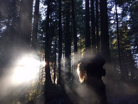 PRIMAL RAGE (2018) Exclusive Theatrical Trailer HD