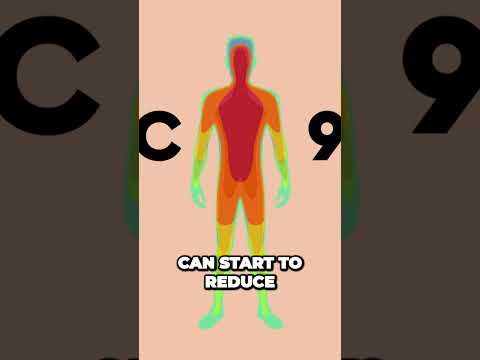 Winter Survival Secrets How Our Bodies Brave the Cold