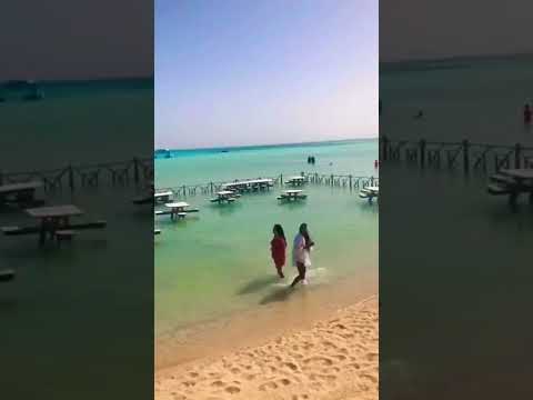 #minivlog #reels #shortvideo #shaima  #volg #sea #youtube #explore #like #enjoy #subscribe #shorts