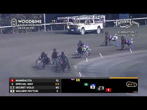 2022 Breeders Crown - 2 YO Filly Trot Elim 2