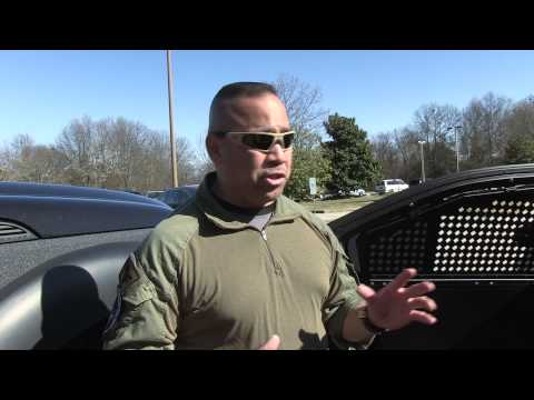 STL BRIEF IN: 03/30/15