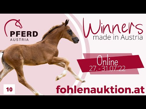 🍀www.fohlenauktion.at - Nr.  🔟 "Blueberry" v.  Bon Coeur - Sunday NRW - Laureus NRW