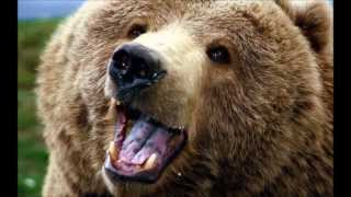 Despise You - All Your Majestic Bullshit/Centinela Park, Hosanna/Drink Positive (R.K.L.)