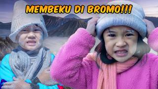 ALETHA ABEW KEDINGINAN DI GUNUNG BROMO thumbnail