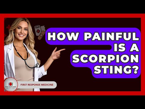 How Painful Is A Scorpion Sting? - First Response Medicine