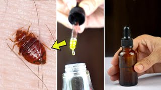 Tea tree oil for bed bug - A natural remedy to get rid of bed bugs permanently in your home