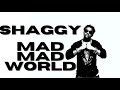 SHAGGY- Mad Mad World (Slowed - Reverb)