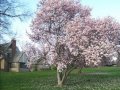 Magnolia - Jon Brion 