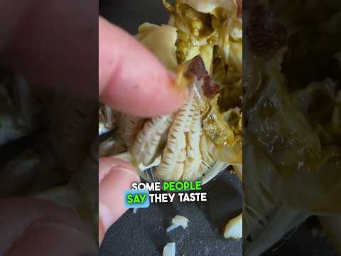 What to Eat in a Crab? #chesapeakebay #crabbing #seafood #crab