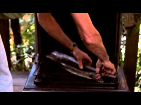 How to smoke eels.mp4
