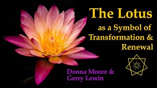 The LOTUS as a Symbol of Transformation and Renewal