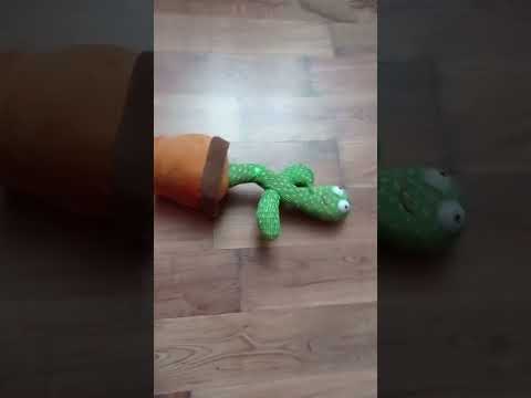 Вот почему спайк не разговаривает: #кактус #тренд #рекомендации #рек