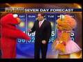 Elmo And Zoey Weather 9 28