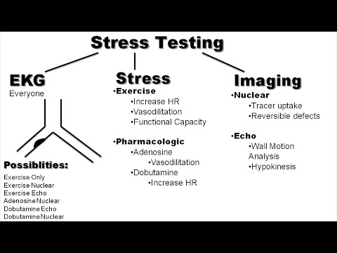 Stress Testing Explained