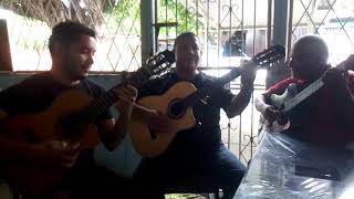 Trío los Girasoles - "Me voy pa'l pueblo"