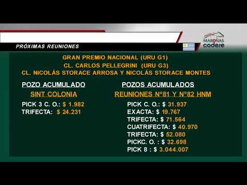 SABADO  26/10/19 SINT COLONIA - MARONAS