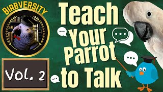 Birbversity [Vol. 2] Teach Your Parrot To Talk | Parrot Town TV for Your Bird Room