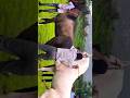 Giant Stallion Fell In Love 🫣 Mare Horse White Stallion Love Natural