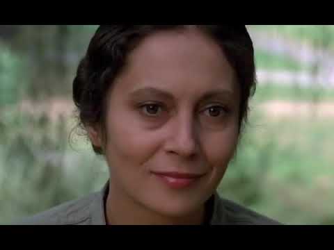 Poseban tretman - Prase