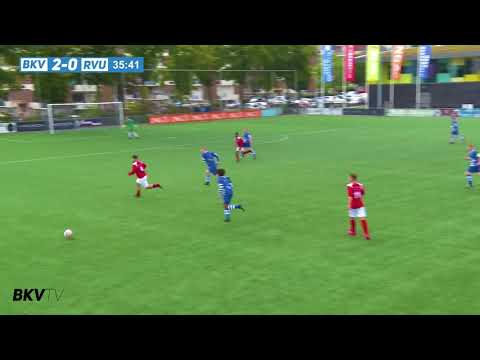 BKV RVU samenvatting