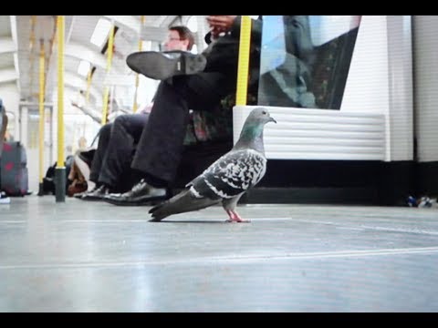 Heute Fahre ich mit der Bahn