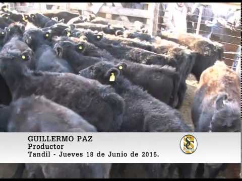 18-06-15 Nota Guillermo Paz - Martin G. Lalor S.A. - Tandil.