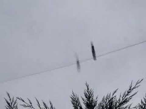 Two Shilling Street Whore - JamesGoldsbury.com