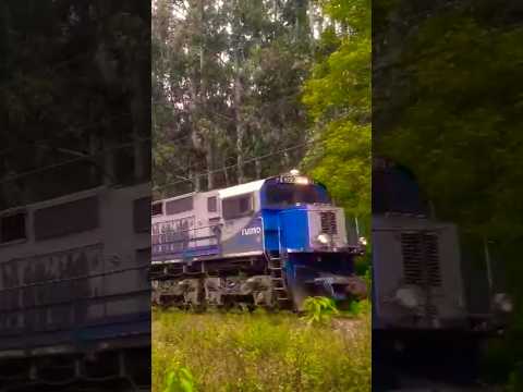 Ferrovia Malha-Sul/LIH IPIRANGA km339/Paraná PR-Brasil(2026) #ferroviabrasileira #rumo #trains #rail