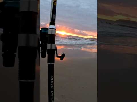 pescaria de praia Itapoá Santa Catarina. #isca #fishing #pescadepraia #beach #amanhecer
