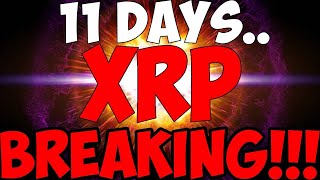 Ripple XRP JP MORGAN IS BULLISH ON ALTCOINS DONT BE FOOLED AND SELL NOW!
