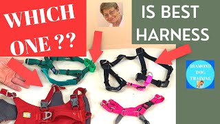 No Pull Harness Review - Which is the Best Harness For Your 