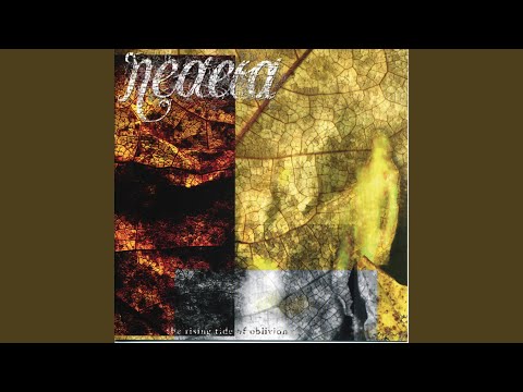 Walls instead of Bridges