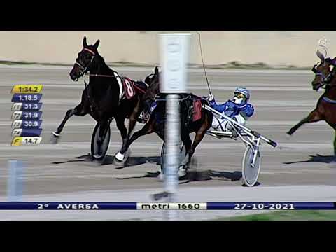 Aversa trotto 27 Ottobre 2021 - 2° Corsa