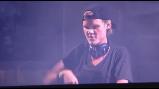 Avicii - Wake Me Up @ Ultra Music Festival Miami 2013