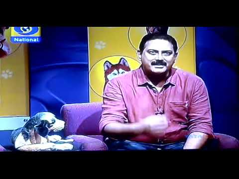 Dog Hair Shedding Problem with Dogs PET CARE TV Program on Doordarshan Channel