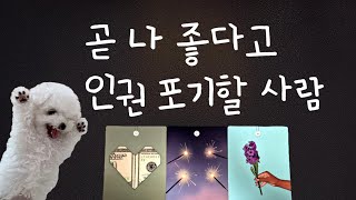 [연애운타로] 곧 나 좋다고 인권 포기할 사람/외모, 성격, 직업, 궁합, 시기, 조언❤️