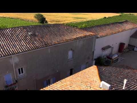 comment investir dans un vignoble