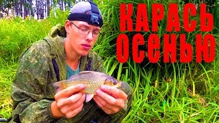 Ссылка