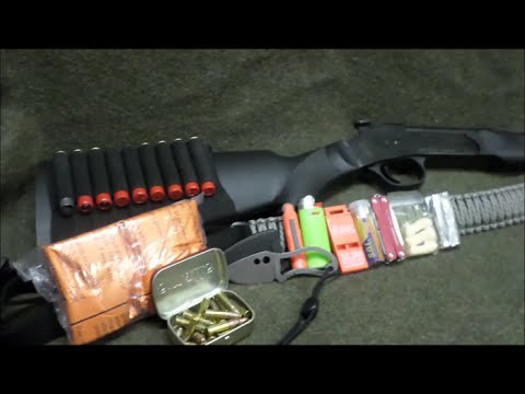 .410 Shotgun VS 2X4 - .410 Buckshot VS Birdshot.