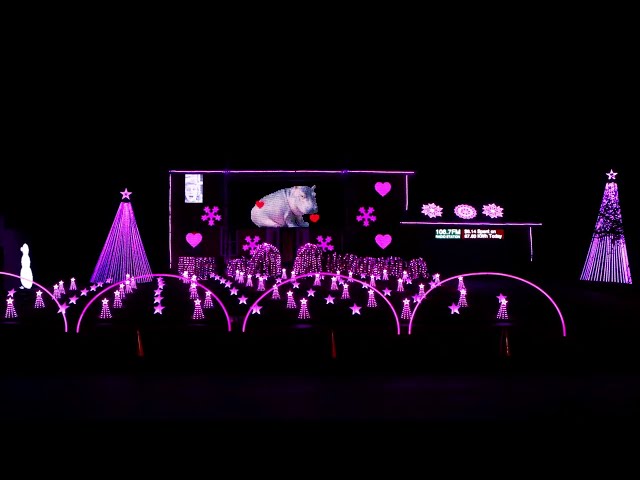 I want a Hippo for Christmas