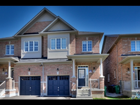 17 Altura Way Brampton, Amit Dhankhar