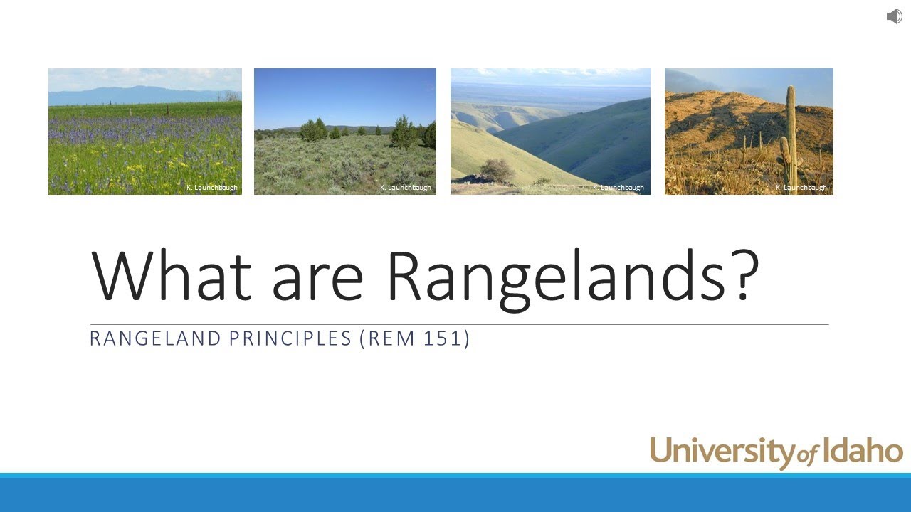 What are Rangelands?