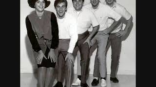 The Beach Boys - Your Summer Dream (Basic Take 1)