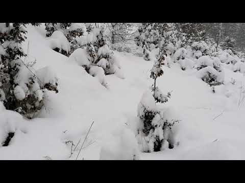 Altbergbau: ehem. Stollen, Halde im Soisgraben