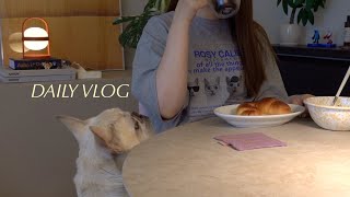 VLOG｜朝ごはんから始まる犬との暮らし☕️家にこもってのんびり過ごす雨の日｜ZARA購入品